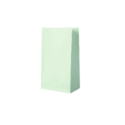 Пакет подарочный 9х18х6 см, мятный
